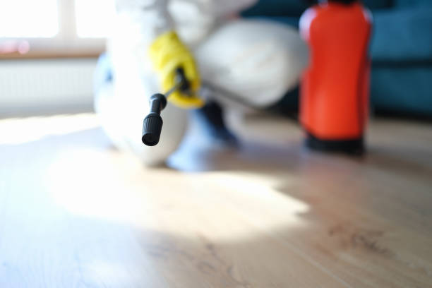 Mold Removal for HVAC Installations in Belle Isle, FL