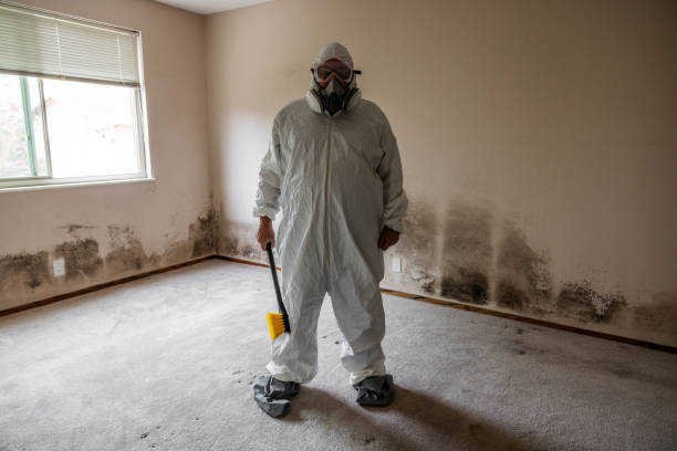 Best Mold Remediation for Healthcare Facilities  in Belle Isle, FL